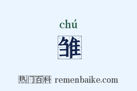 雏是什么意思的图片